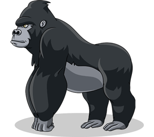 langlandia profile French gorilla
